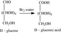 NCERT Solutions Class 11 Biology Chapter 9 - Biomolecules